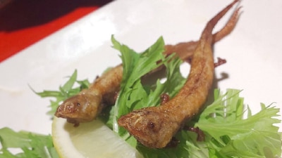 Sirve ajolotes sobre una especie de ensalada sencilla