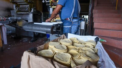 En México, el consumo anual per cápita del maíz blanco es de 332 kg.