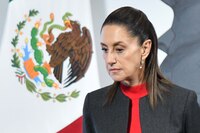 La crisis de la presidenta