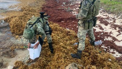 Los narcóticos hallados tienen un valor en el mercado de cinco millones 750 mil pesos