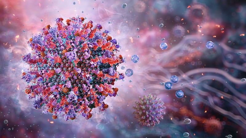 Alerta se encienden por brote de virus Nipah; puede dejar rápidamente en coma a los infectados