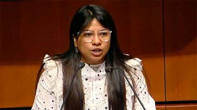 La senadora criticó los procesos de MC