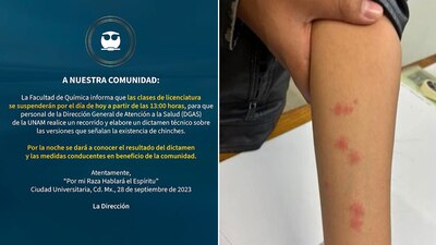 La facultad de Química dijo que pediría auxilio a la DGAS