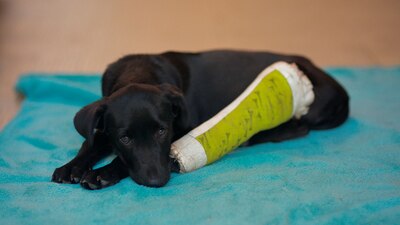 Este es el menor r nivel en 17 meses