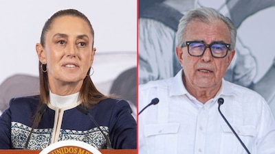 Licencia de Rocha Moya.