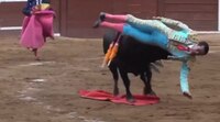 VIDEO: Torero acaba prensado de un cuerno cuando intentaba clavarle la espada al toro