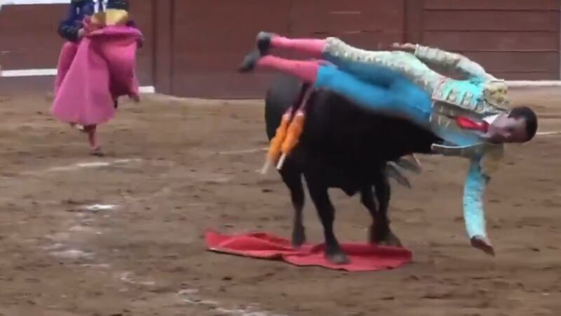 VIDEO: Torero acaba prensado de un cuerno cuando intentaba clavarle la espada al toro