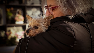 Diputada de Morena propone 3 días de licencia por muerte de una mascota