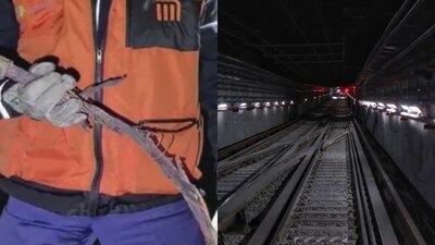 Esta mañana se detuvo a un trabajador que tenía al menos 10 kilos