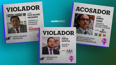 La Observatoria Ciudadana señala que Morena y el PAN son los partidos que más denuncias de violencia de género acumulan