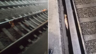 El equipo de rescate tuvo que cortar la corriente para evitar que fuera lastimado