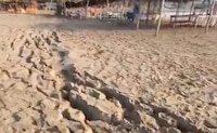 VIDEO: Así se agrietó la arena en Barra Vieja, Acapulco, tras el sismo
