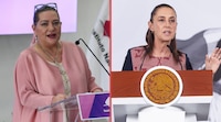 La función del INE no es identificar ‘narcocandidaturas’, dice Taddei ante propuesta de Sheinbaum