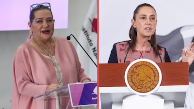 La función del INE ‘no es identificar narcocandidaturas’, dice Taddei ante propuesta de Sheinbaum