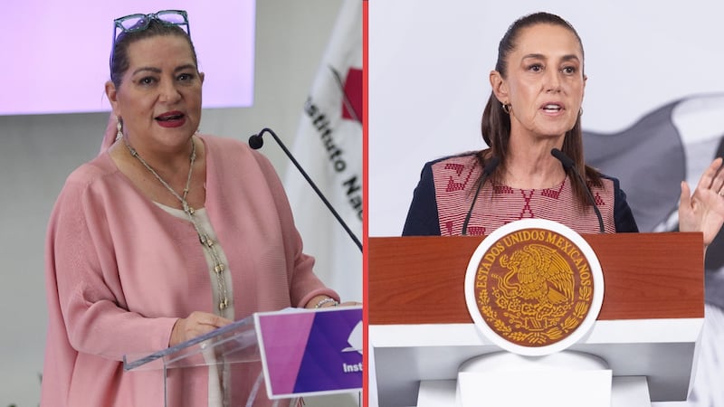 La función del INE no es identificar ‘narcocandidaturas’, dice Taddei ante propuesta de Sheinbaum