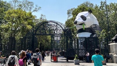 Uno de los principales atractivos es la figura de un panda gigante que engalana la entrada del Bosque de Chapultepec