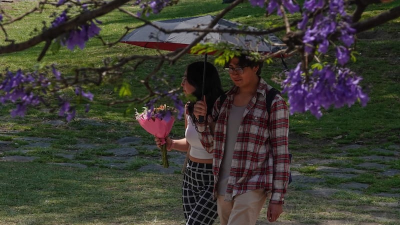 Lluvias dan tregua a la CDMX; se espera una temperatura máxima de hasta 26 °C este 14 de mayo