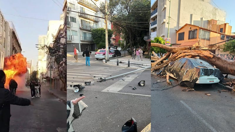 Caída de árboles, luminarias y un flamazo: daños que reportan en la CDMX en redes sociales