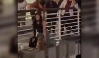 VIDEO: Mujer arriesga su vida para salvar a un perrito que estaba a punto de caer de un puente