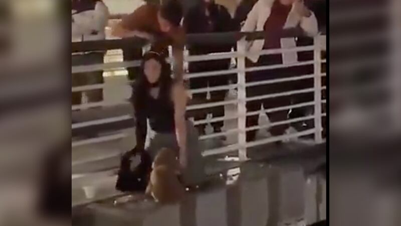 VIDEO: Mujer arriesga su vida para salvar a un perrito que estaba a punto de caer de un puente
