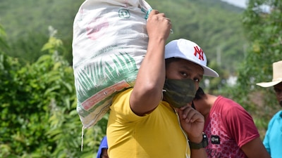 La venta irregular de agroquímicos afecta a campesinos, consumidores e industria