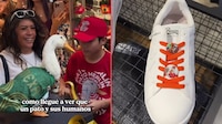 VIDEO: El pato ‘Merlín’ lanza su línea edición especial de tenis, con motivo del Mundial
