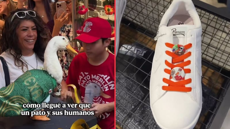 VIDEO: El pato ‘Merlín’ lanza su línea edición especial de tenis, con motivo del Mundial