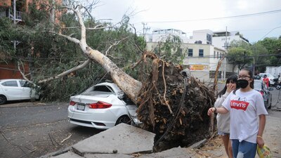 En ocasiones anteriores, los vientos han ocasionado la caída de árboles