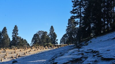 Las autoridades capitalinas prevén temperaturas bajo cero en algunos estados