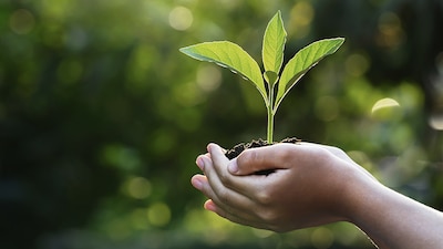 Temas con el cuidado del agua están en el paquete de reformas de AMLO