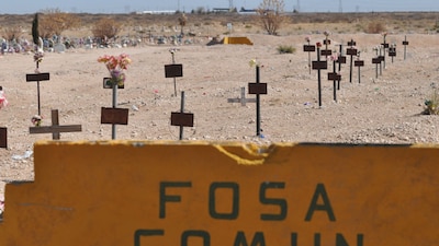 Cientos de mexicanos se han dado a la búsqueda de sus familiares desaparecidos