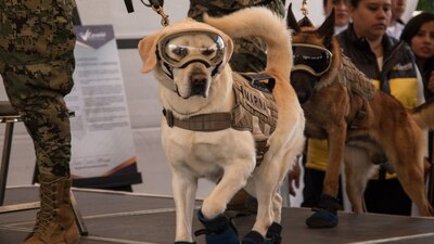 Será recordada por su ardua labor en los terremotos que azotaron a México