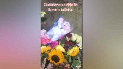 El famoso peluche llegó hasta el palacio Holyrood en Edimburgo