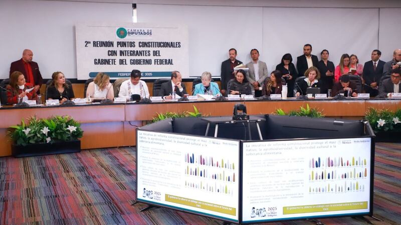 “No queremos maíces transgénicos que erosionen nuestras especies nativas”: Semarnat