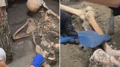 Los nuevos hallazgos revelan formas de relación social de la época: expertos