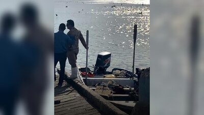 Del 2022 al 2023 se han registrado cinco ataques fatales de tiburón a buzos