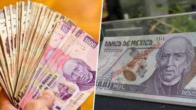 Para 2023 eliminará una familia de divisas denominada D1, lanzada hace 21 años