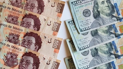 Hasta la mañana de este 24 de agosto, el peso opera alrededor de las 16.77 unidades por billete verde