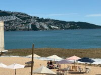 Registran llegada masiva de lirio acuático a playas de Acapulco