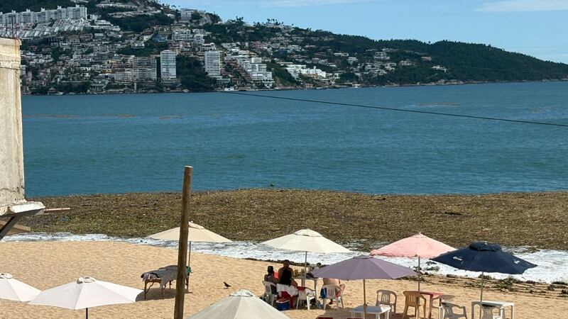 Registran llegada masiva de lirio acuático a playas de Acapulco