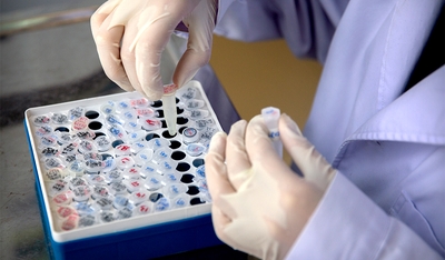 En diferentes países trabajan a marchas forzadas para encontrar la vacuna contra el COVID-19