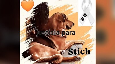 Tras ser fuertemente lastimado por personal de una panadería