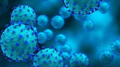 Los cientificos han descubierto cómo bloquear el virus que provoca COVID-19