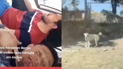 Tras lo sucedido, la Fundación Toby acusó que uno de los involucrados fue candidato del Partido Verde Ecologista