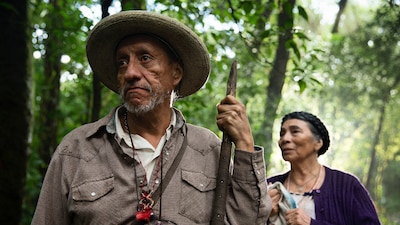 Deja un legado de más de tres décadas de actuación y alrededor de 30 créditos en la pantalla.