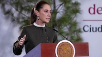 Sheinbaum pide pruebas a EU por empresas presuntamente vinculadas al Cártel del Noreste