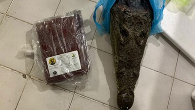 La dependencia aseguró que no se acreditó el registro para la comercialización