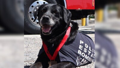 "Sirvió con honor, lealtad y valentía en la búsqueda y rescate de personas vivas"