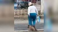 Captan a mujer arrastrando a perrita inconsciente en calles de Pachuca, Hidalgo