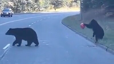 En redes sociales se hizo viral el momento que enterneció a varios